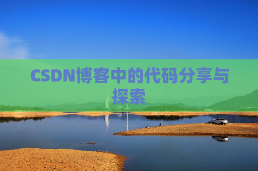 CSDN博客中的代码分享与探索